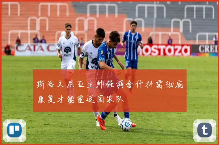 斯洛文尼亚主帅强调舍什科需彻底康复才能重返国家队