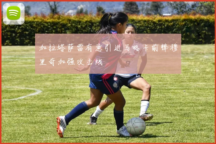 加拉塔萨雷有意引进马略卡前锋穆里奇加强攻击线