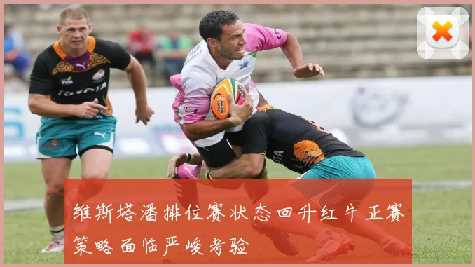 维斯塔潘排位赛状态回升红牛正赛策略面临严峻考验